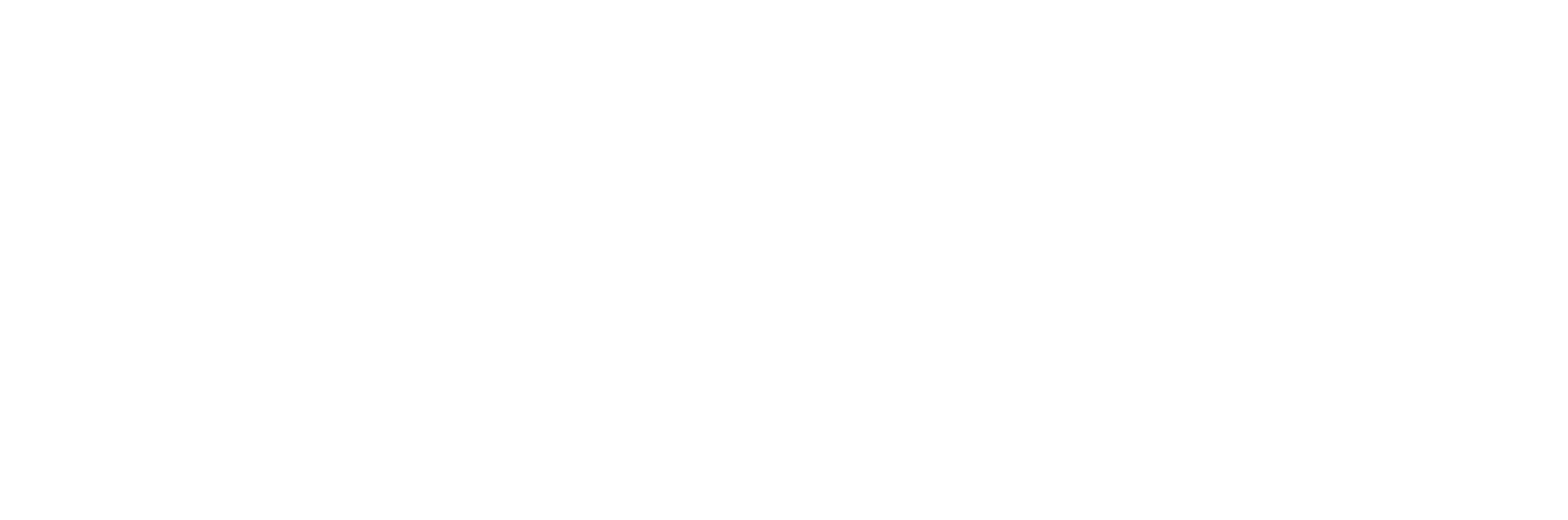 Dusky Robin Leather Logo