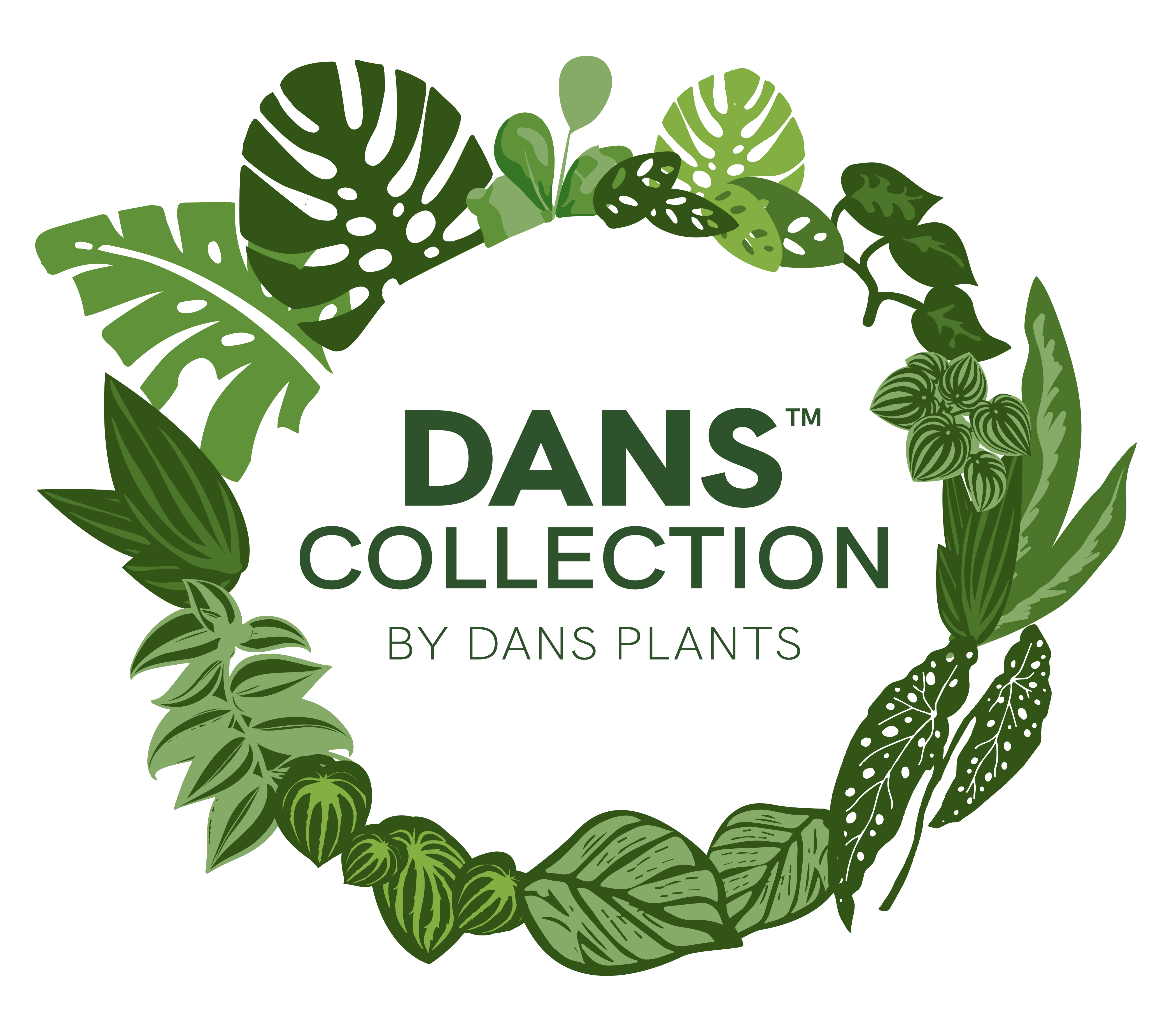 Dans Wholesale Plants Logo