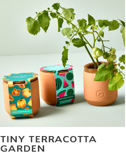 Garden Tiny Terracotta