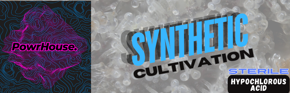 POWRHOUSE - SYNTHETIC