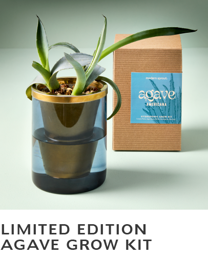 Agave Grow Kit with Brass Net Pot