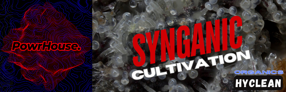 POWRHOUSE - SYNGANIC