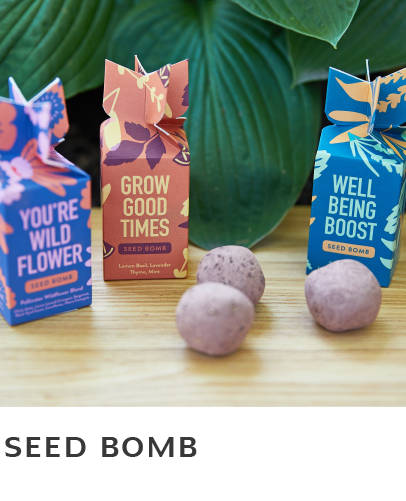 Seed Bomb