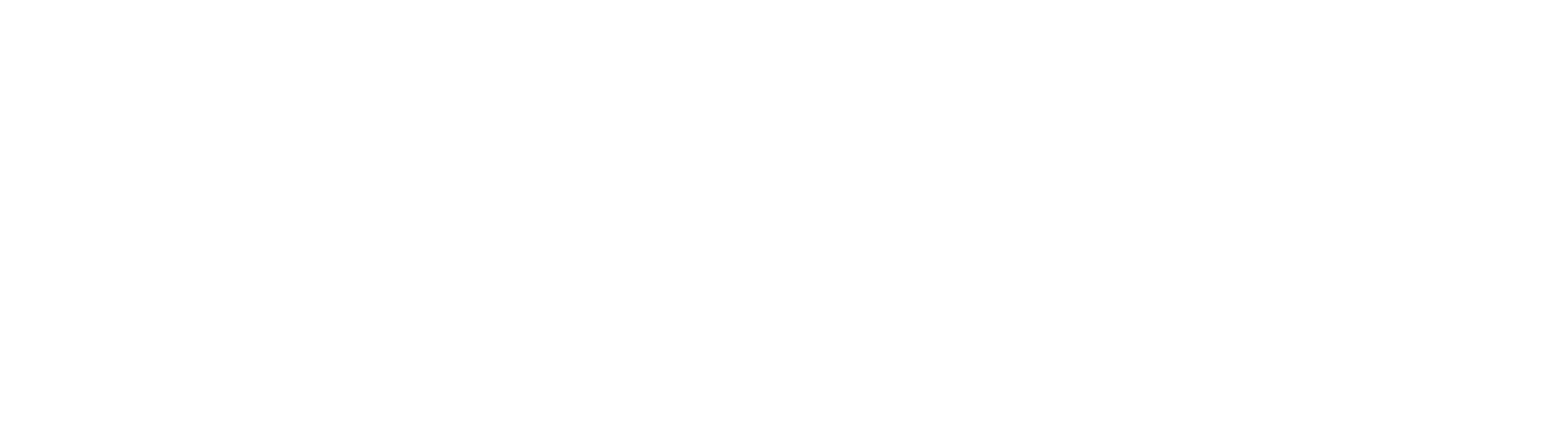 Vivid Lumen Automotive DS Logo