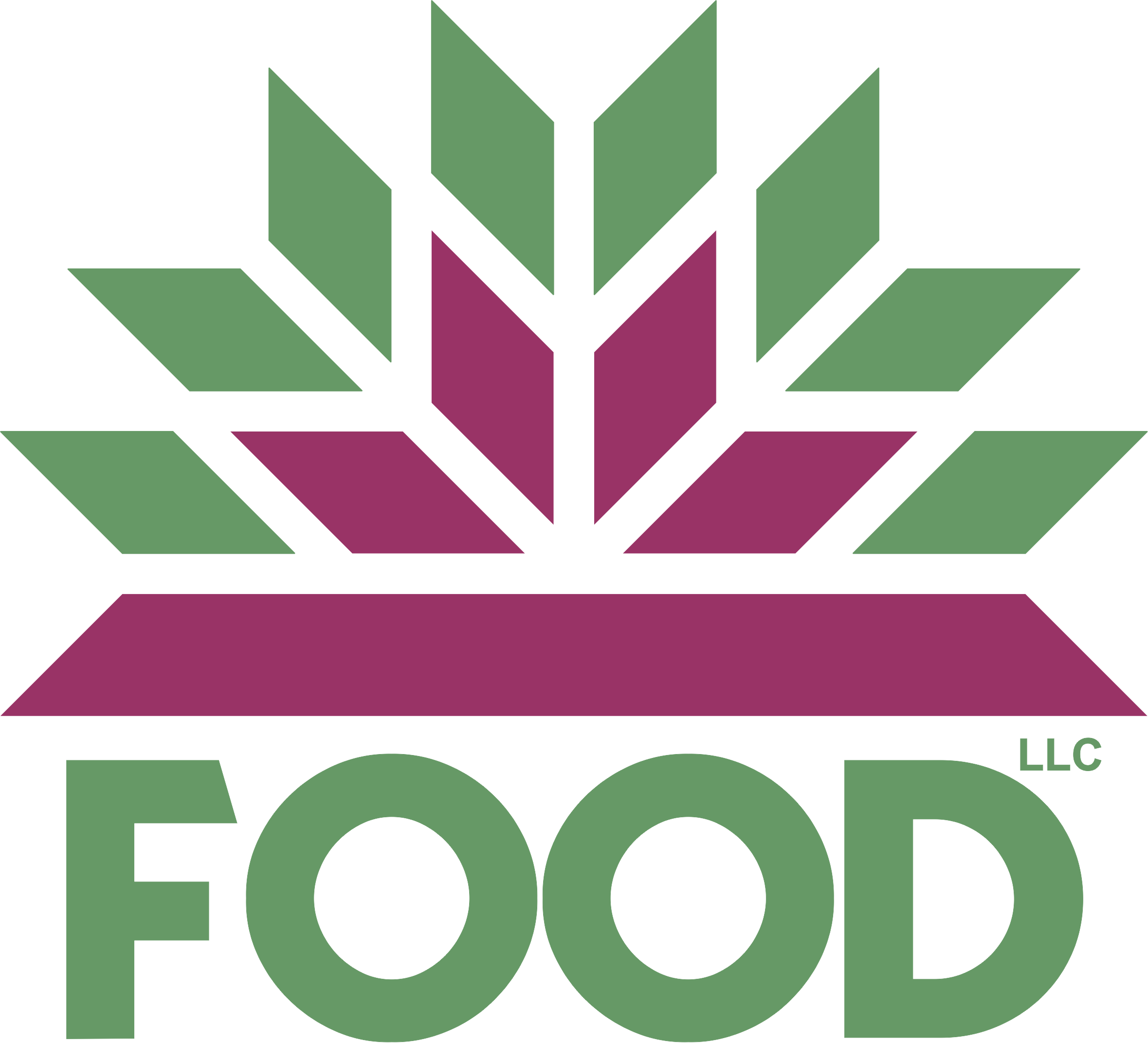 FOOD LLC STORE Logo