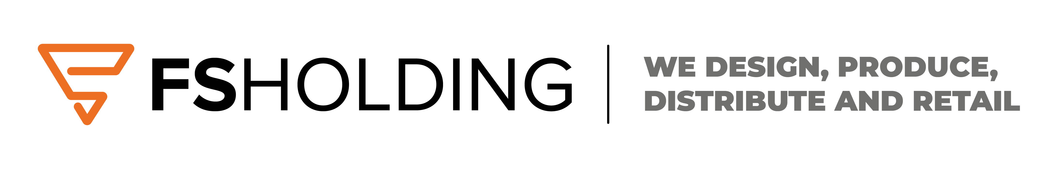 FS Holding Ltd Logo