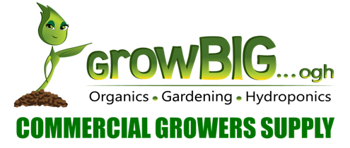 GrowBIG Commercial Logo