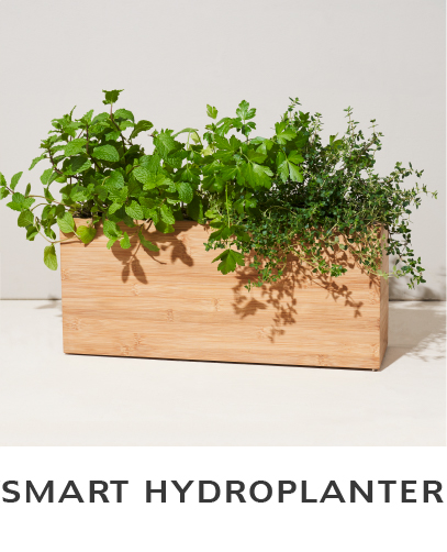 Smart Hydroplanter