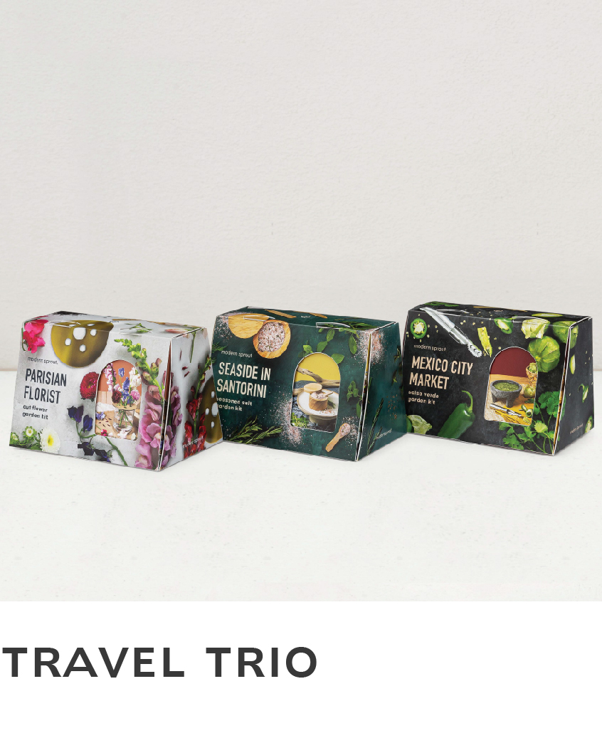 travel trio