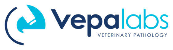 Vepalabs Store Logo