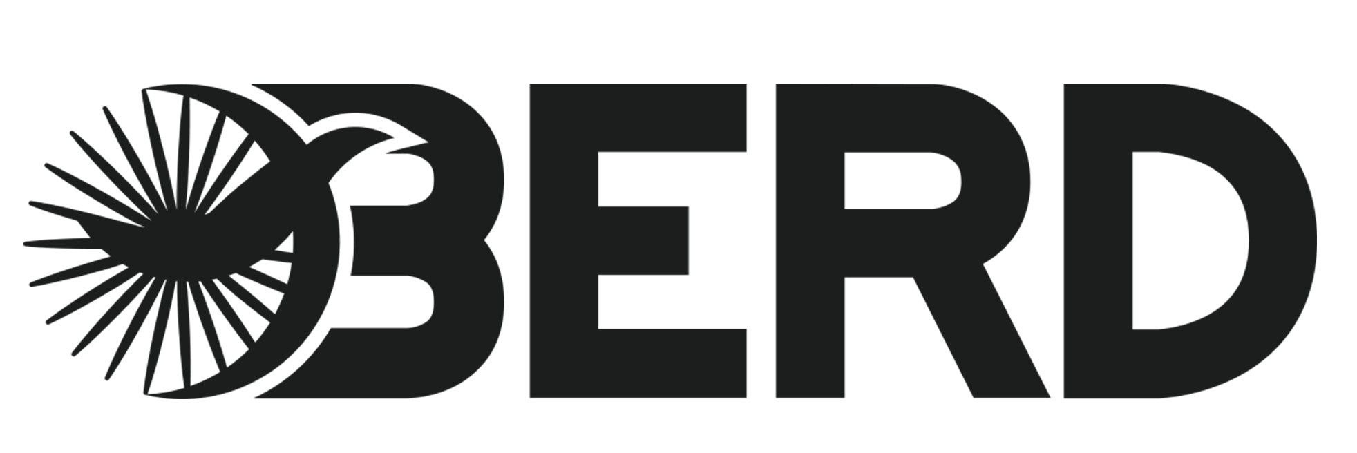 Berd Spokes Logo