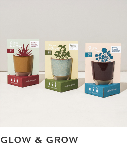 glow & grow