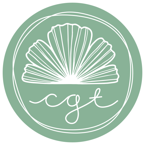 CGT INTERNATIONAL Logo